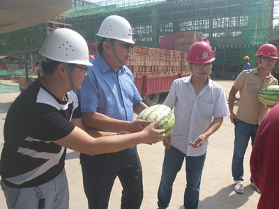 夏日暑正盛     清涼風自揚