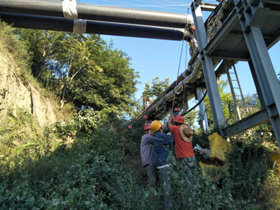 追趕超越，他們用行動爭做排頭兵