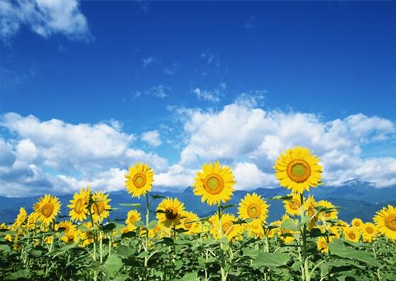 用責(zé)任點(diǎn)燃青春，以擔(dān)當(dāng)成就事業(yè)