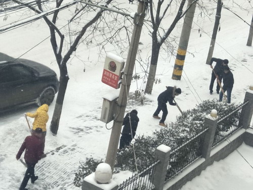 義務掃雪除冰  黨員干部在行動