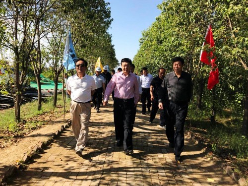 陜西省總工會黨組書記、主席白阿瑩一行蒞臨鄠邑區(qū)調研考察草堂寺健康養(yǎng)老示范項目