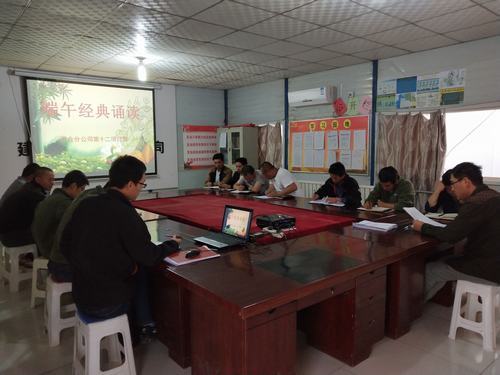 濃情端午 盡情放“粽”