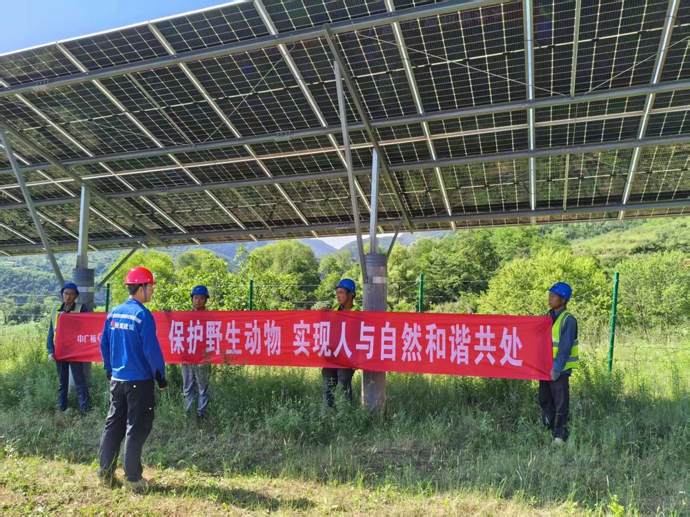 陜煤建設(shè)西北分公司機電安裝項目部：為野生動物撐起“生態(tài)保護傘”