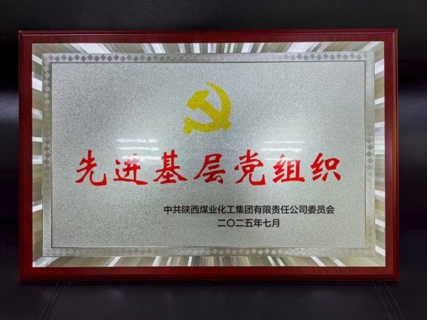 陜煤建設(shè)煤礦運(yùn)營(yíng)服務(wù)分公司黨總支榮獲陜煤集團(tuán)“先進(jìn)基層黨組織”稱號(hào)