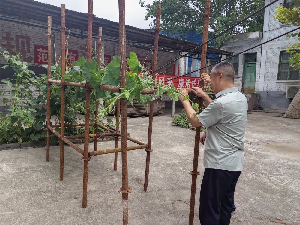 平凡堅守，織就的那些暖心緣
