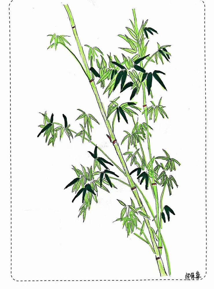 漫說廉潔！這組“草木廉盟”太可了