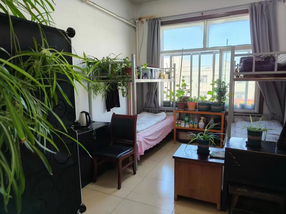 陜煤建設洗選煤運營公司檸條塔運營項目部黨支部：黨建領航強根基 廉潔鑄魂促發(fā)展